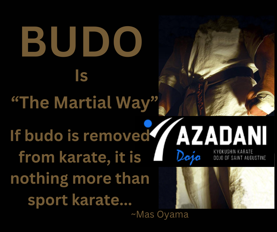 Budo Martial Arts in Florida - Kyokushin Karate Dojo St. Augustine