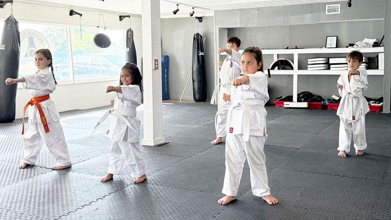 5PM Kids Karate Class