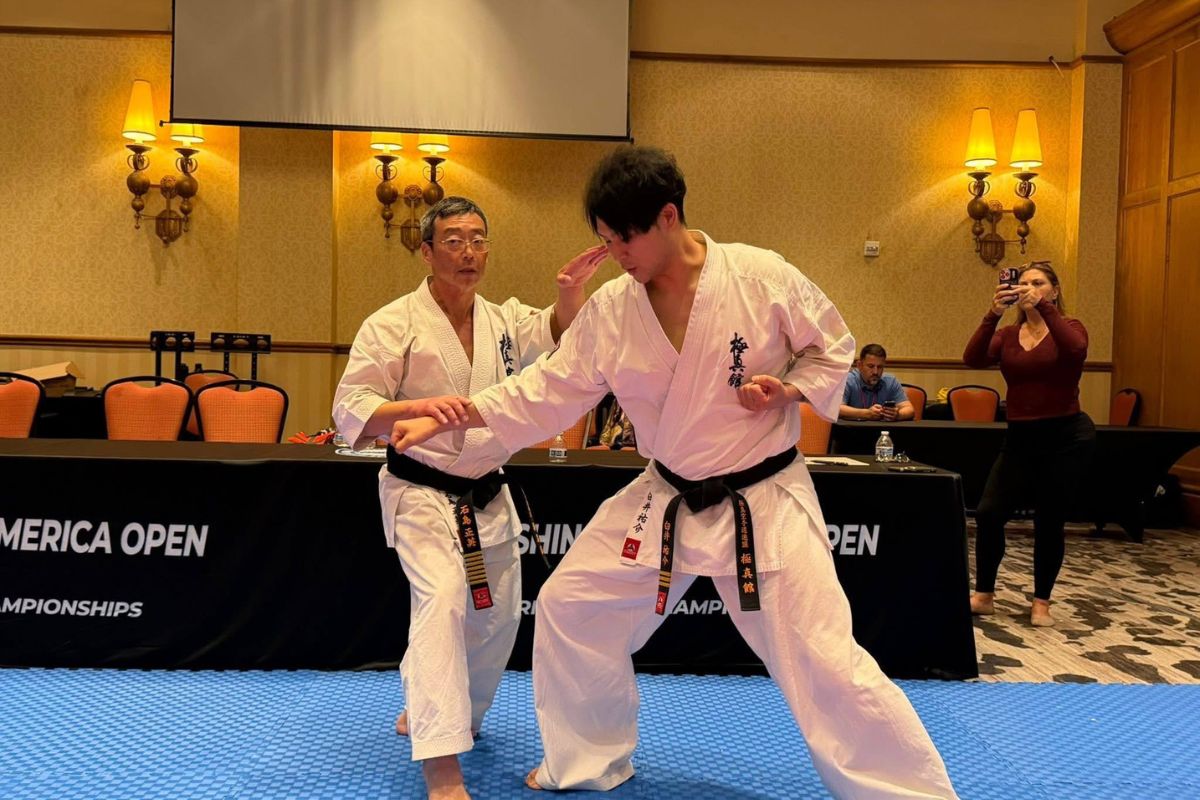Two karateka practicing kata application